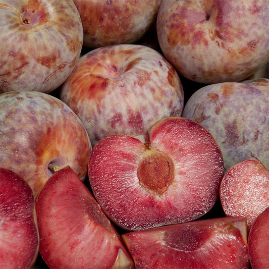 Pluot Growing Guide