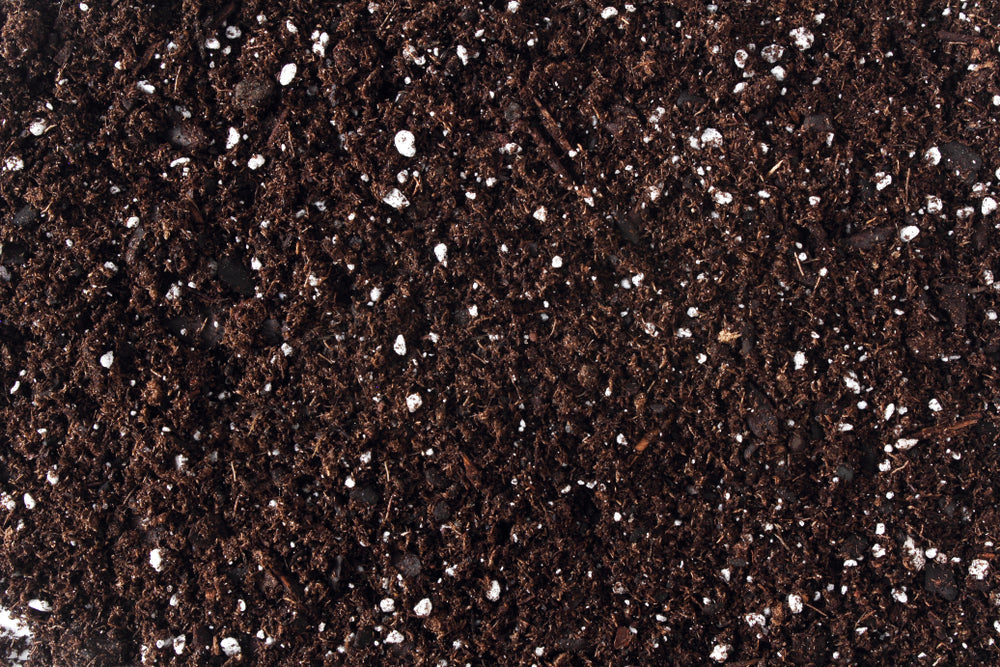 Reusing potting soil