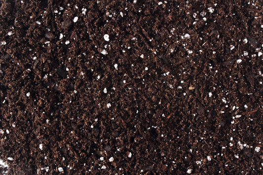 Reusing potting soil