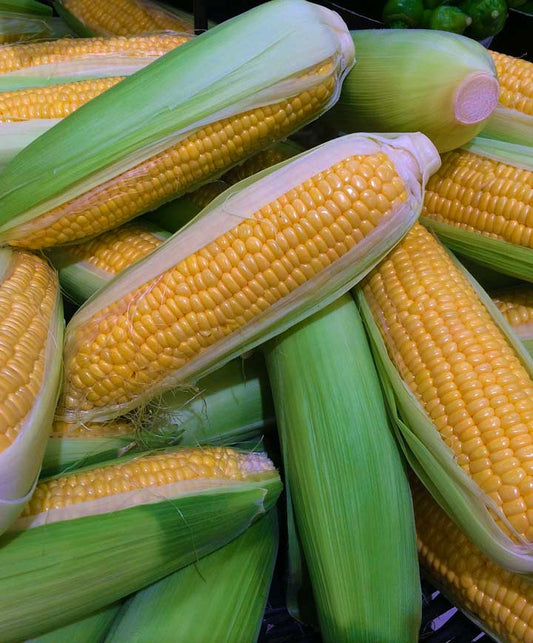 Sweet Corn Planting Guide