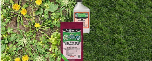 Weeds, weeds, weeds!