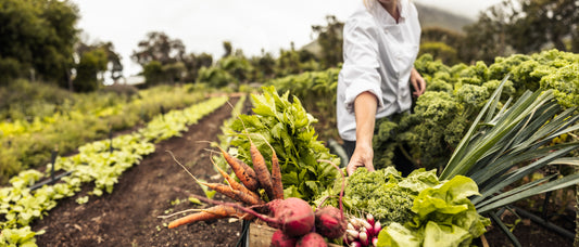Maximizing your Garden