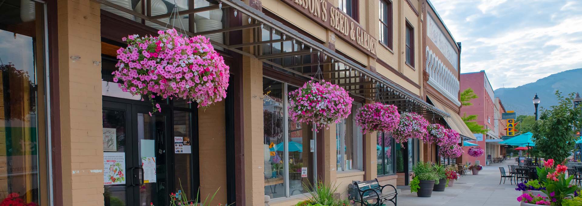Hanging Basket Products  Anderson's Seed & Garden
