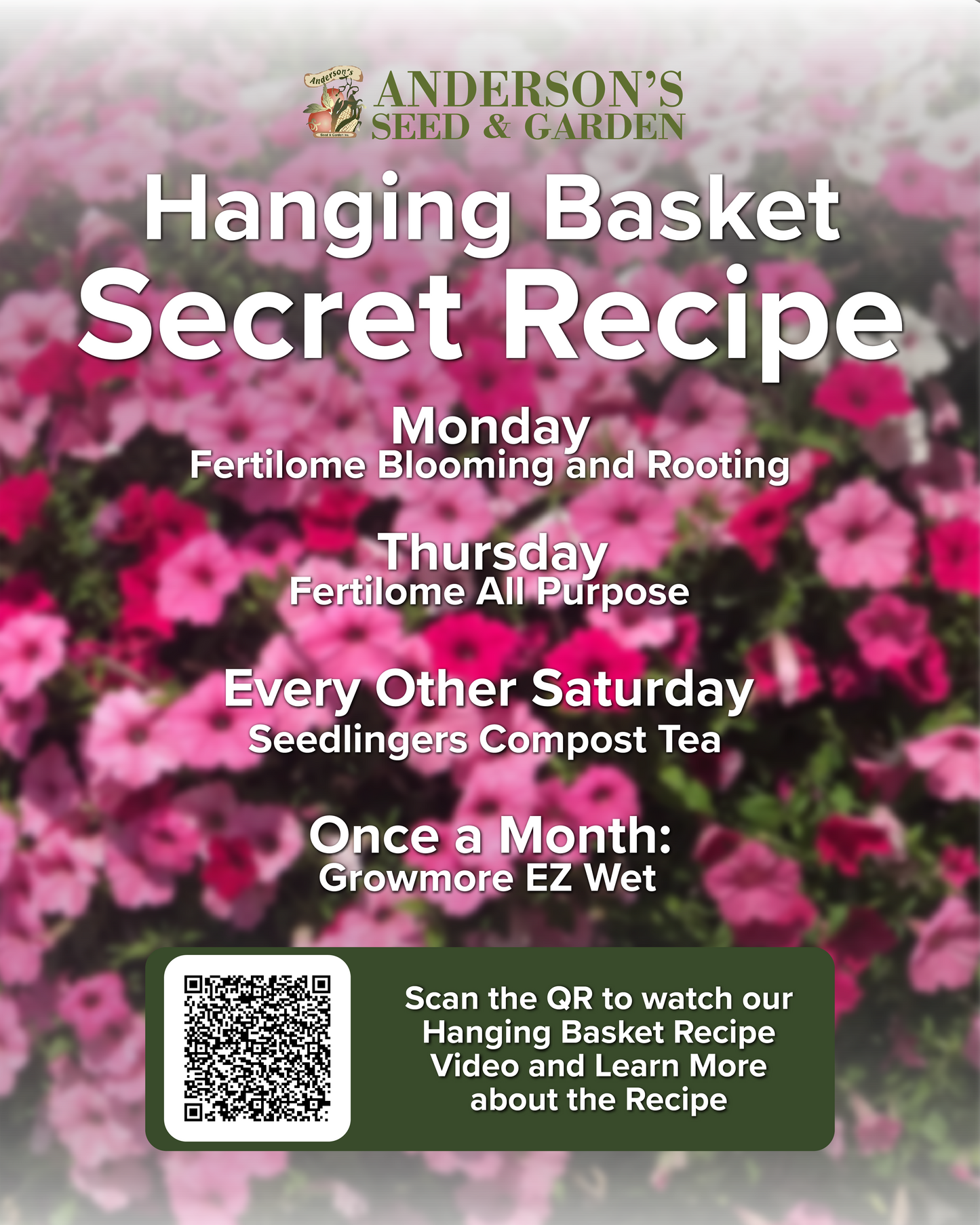 Hanging Basket Recipe Medium