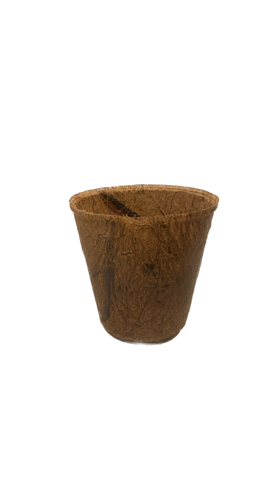 3" Coconut Coir Pot
