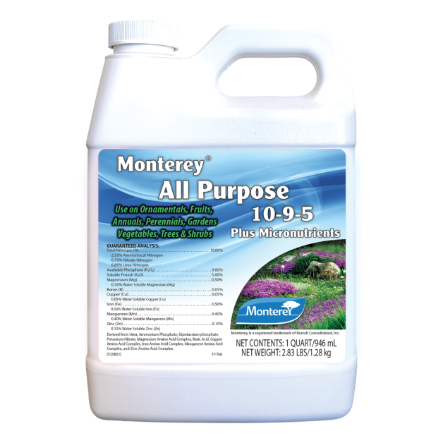 Monterey Qt All Purpose