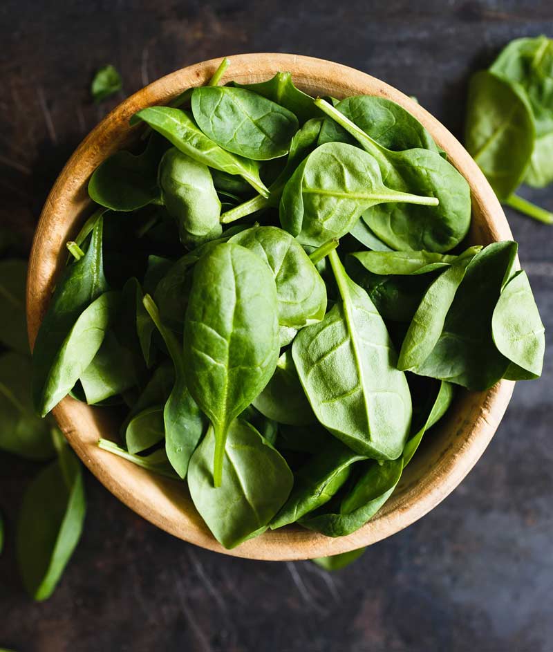 Spinach Plymouth (Formally Melody) Seed