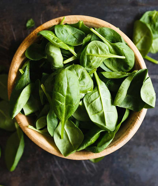 Spinach Plymouth (Formally Melody) Seed