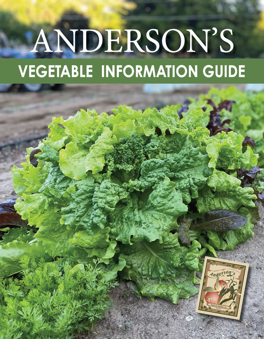 Vegetable Information Guide