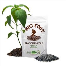 Big Foot 4oz Mycorrhizae Granular