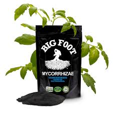 Big Foot 4oz Mycorrhizae Conce