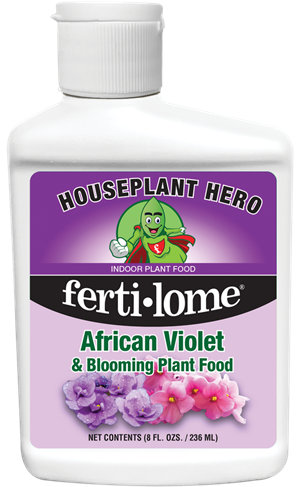 African Violet Food