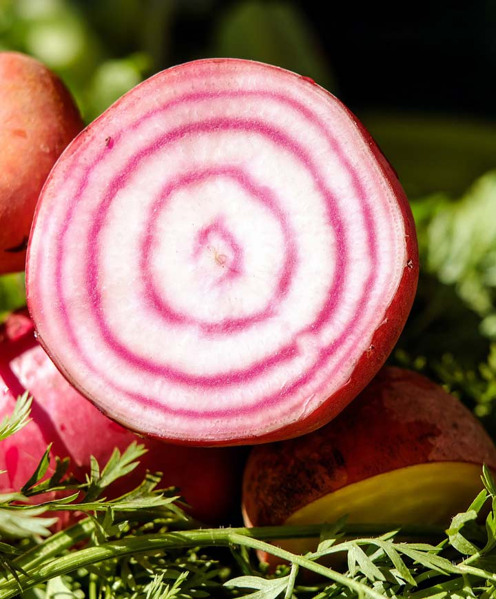 Beet Organic Chiogga Striped Seed