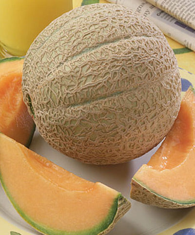Cantaloupe Organic Hales Best Jumbo Seed