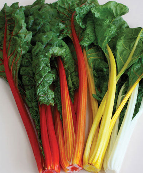 Chard Organic Rainbow Mix Swiss Chard Seed