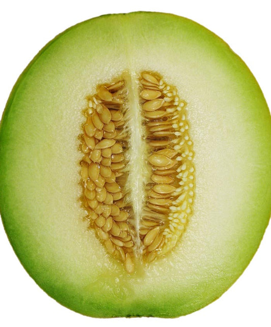 Honeydew Organic Seed