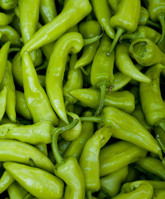 Pepper Hot Organic Anaheim Seed