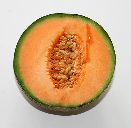 Cantaloupe Heart of Gold Seed
