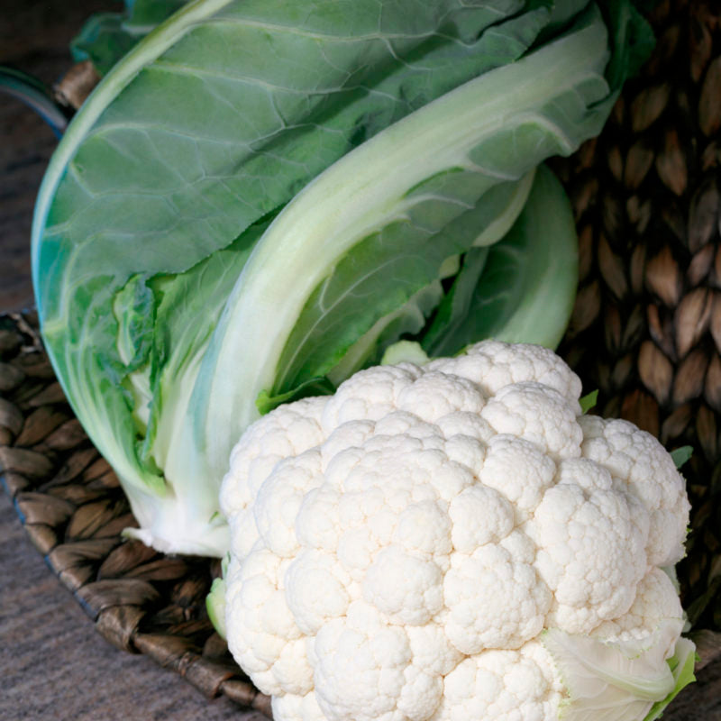 Cauliflower Twister Seed