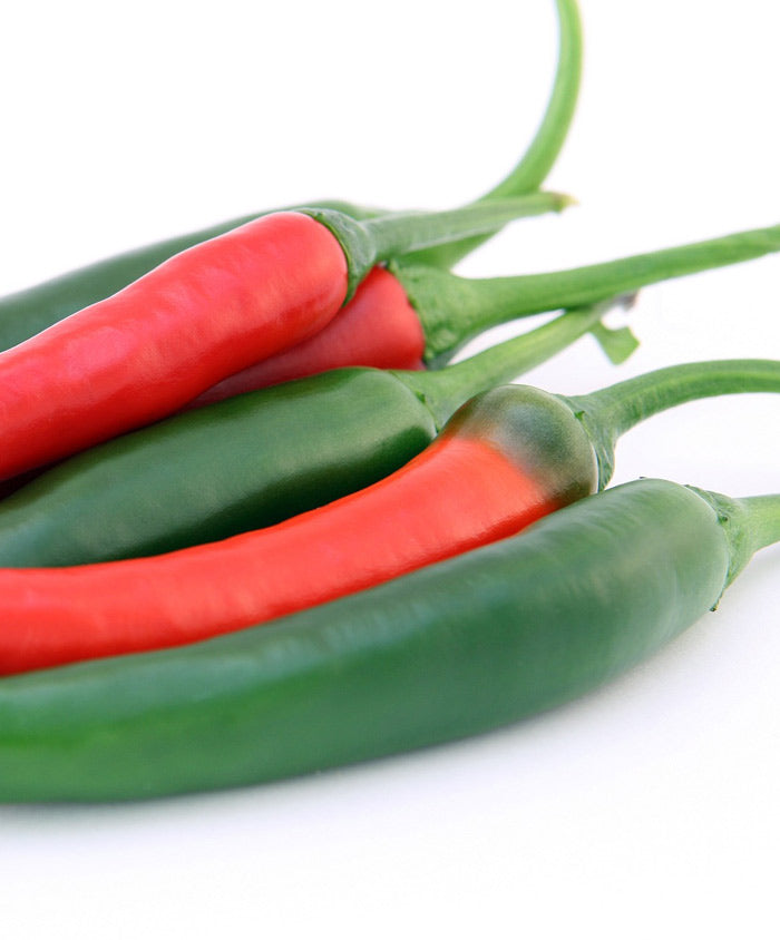 Pepper Hot Garden Salsa Seed