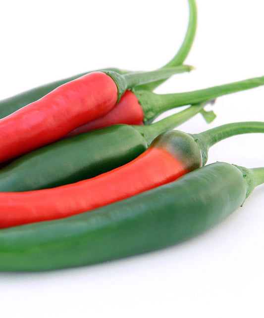 Pepper Hot Garden Salsa Seed