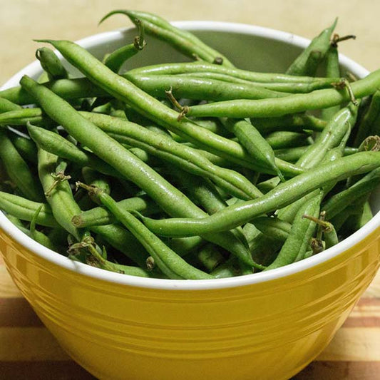 Bean Blue Lake Pole Bean