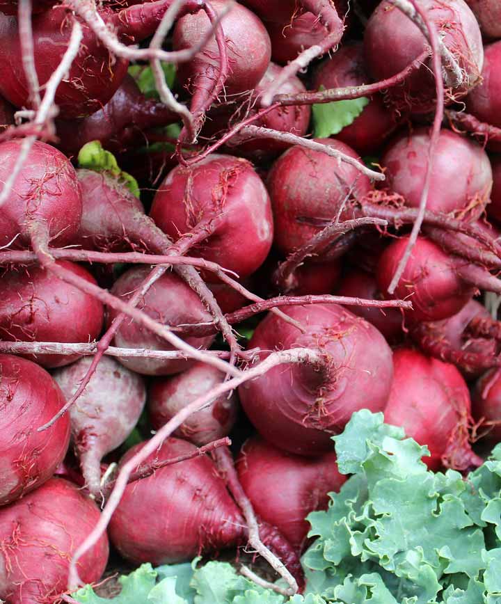 Beet Detroit Dark Red Seed