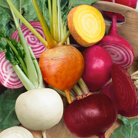 Beet Rainbow Mix Seed