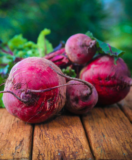 Beet Ruby Queen Seed