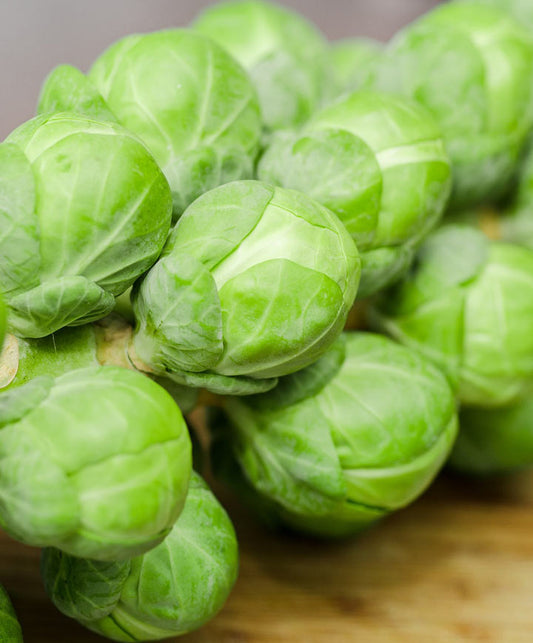 Brussel Sprouts Long Island Seed