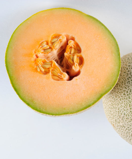 Cantaloupe Ambrosia Seed