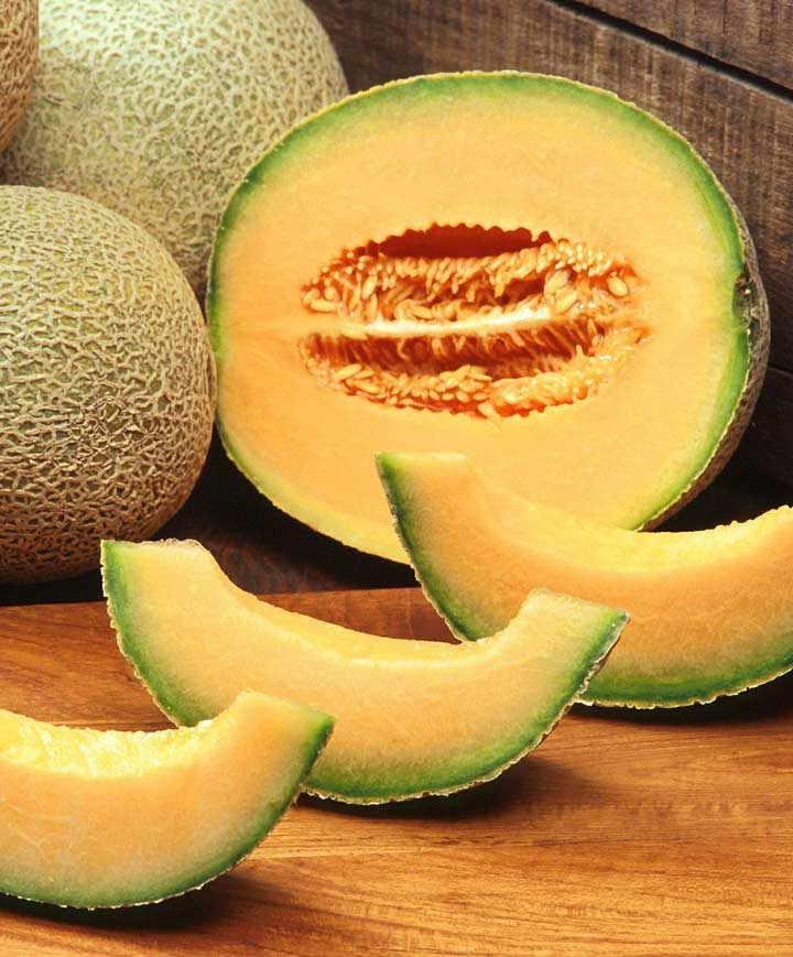 Cantaloupe Delightful Seed