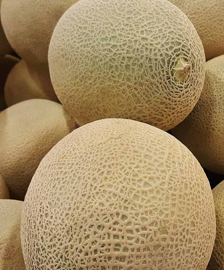 Cantaloupe Inspire Seed