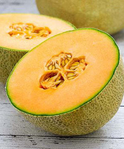 Cantaloupe Infinite Gold Seed