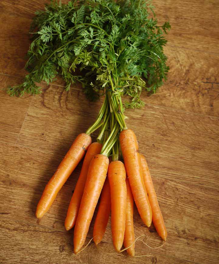 anderson seed and garden Carrot Little Finger Seed