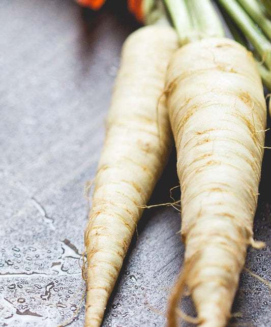 Carrot Lunar White Seed