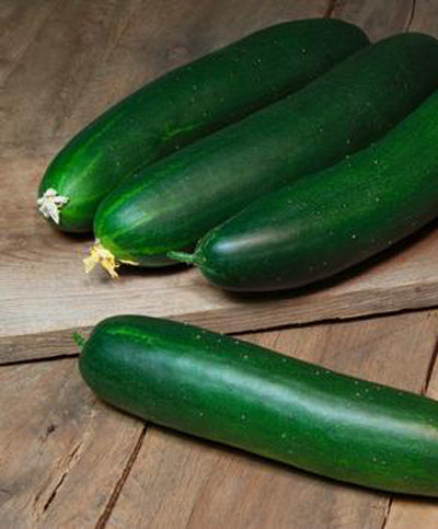 Cucumber Straight Eight Seed