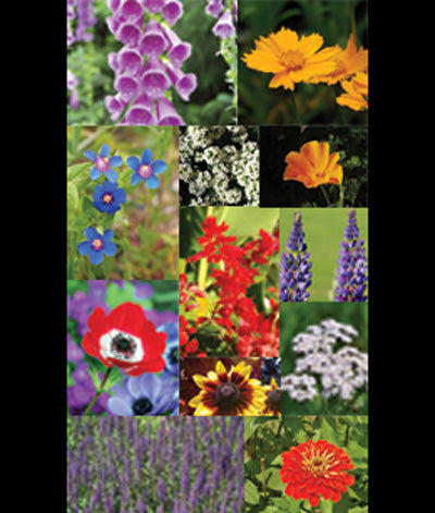 deer proof wildflower seed mix Wildflower Deer Proof Mix Seed – Anderson's Seed & Garden