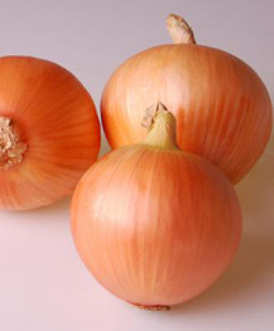 Onion Spanish Medallion (Formerly: Big Mac Hybrid) Seed