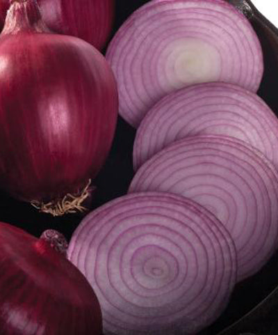Onion Red Nugent Seed