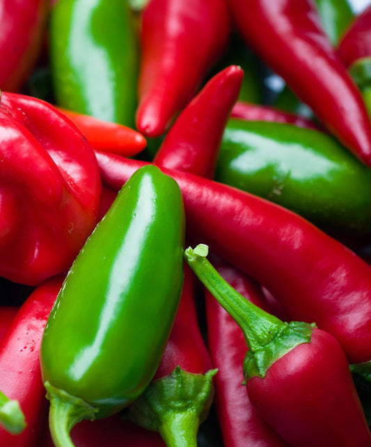 Pepper Hot Fooled You Seed