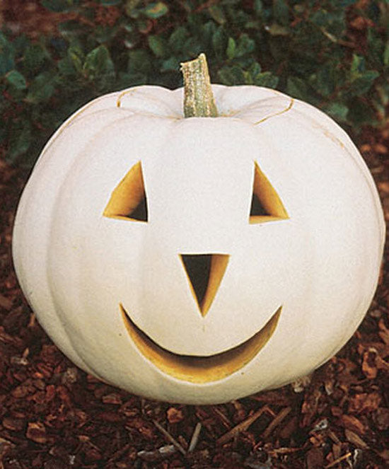 Pumpkin Casper (Formally Lumina) Seed