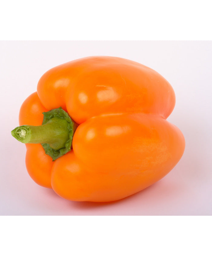 Pepper Sweet Orange Sun Seed