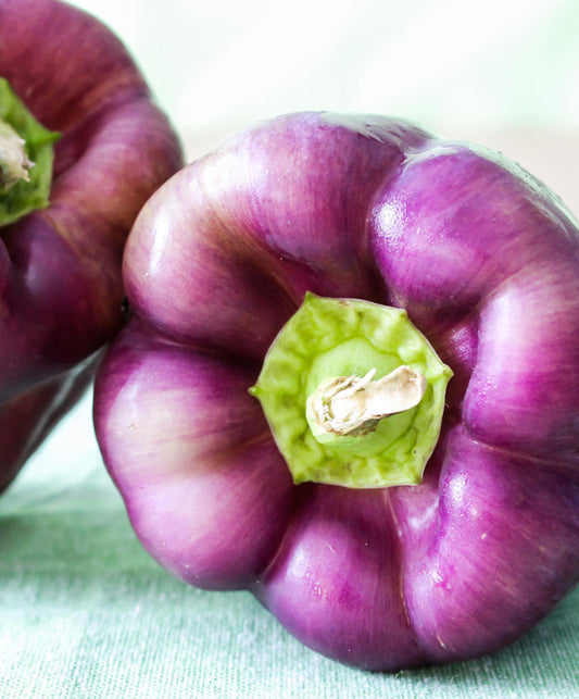 Pepper Sweet Purple Beauty Seed