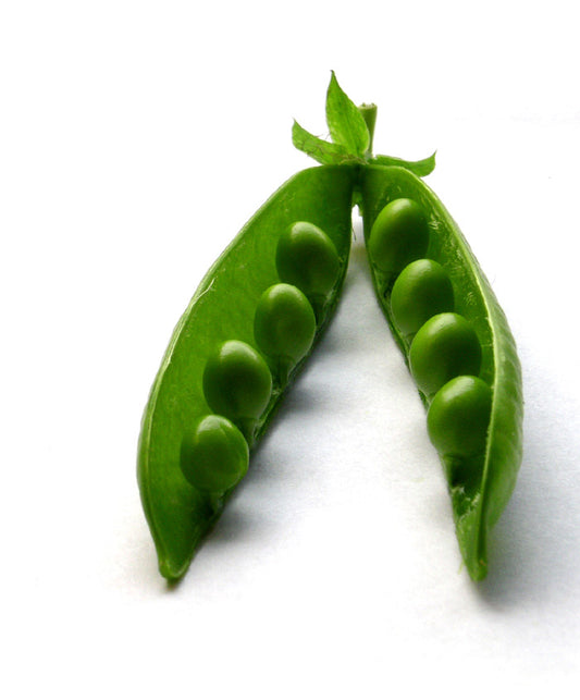 Pea Perfection Seed