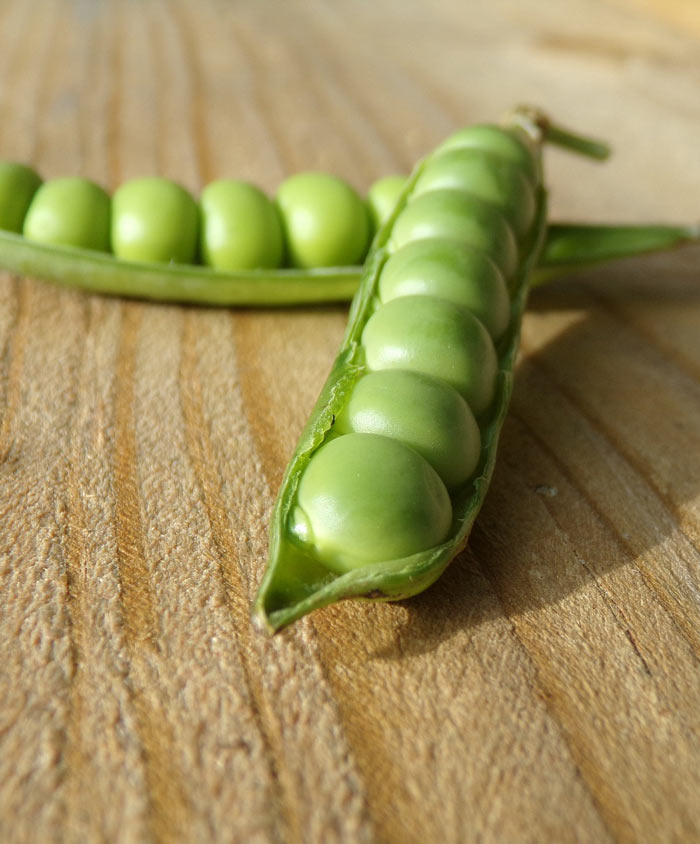Pea Victory Freezer Seed