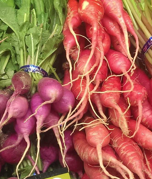 Radish Gourmet Mix Seed
