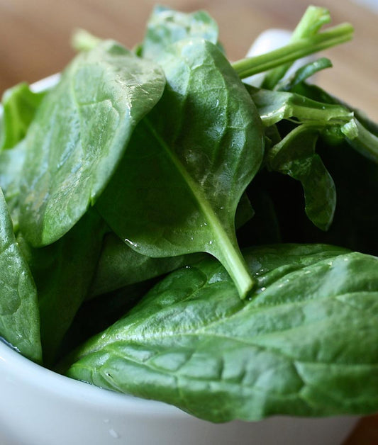 Spinach Seaside (Formally Correnta) Seed