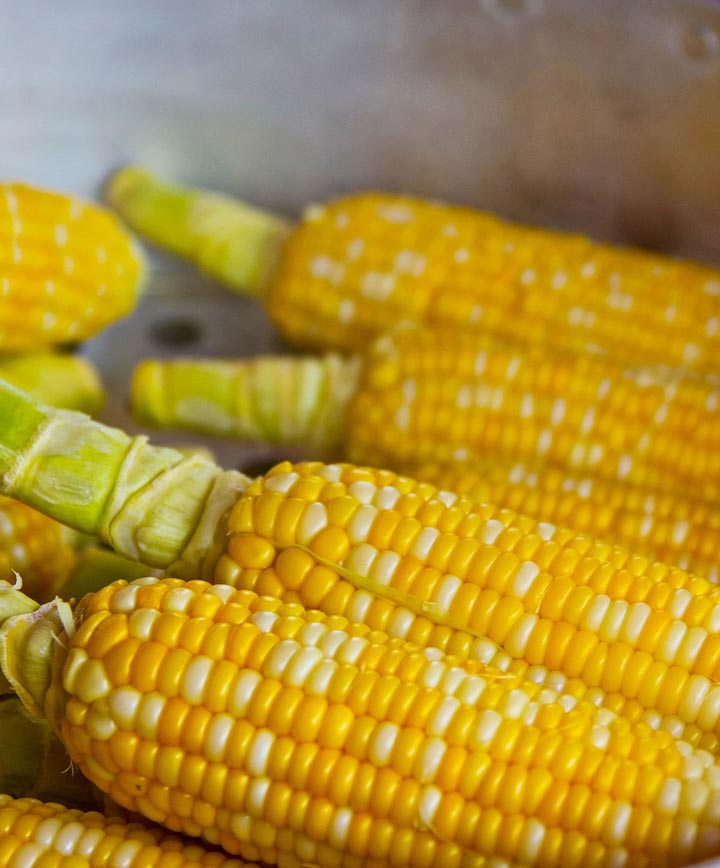Corn Trinity Seed