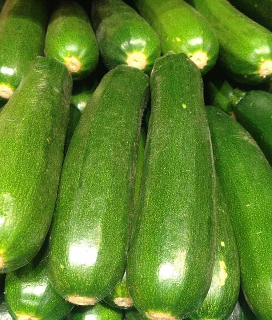 Squash Summer Zucchini Spacemiser Seed